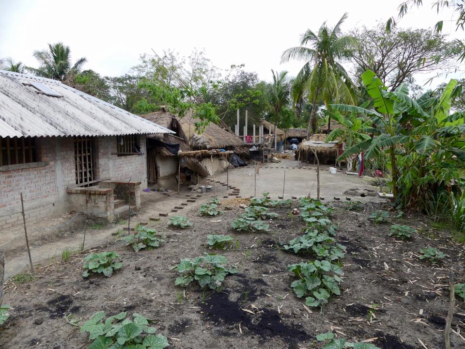 The Resilient Souls of the Tide Country